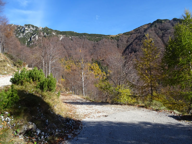 Cima Paln -Soglio dell'' Incudine.......Pasubio